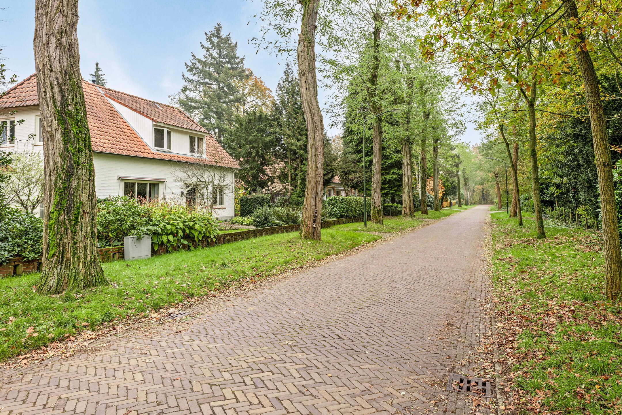 Foto 63 van Irenelaan 10