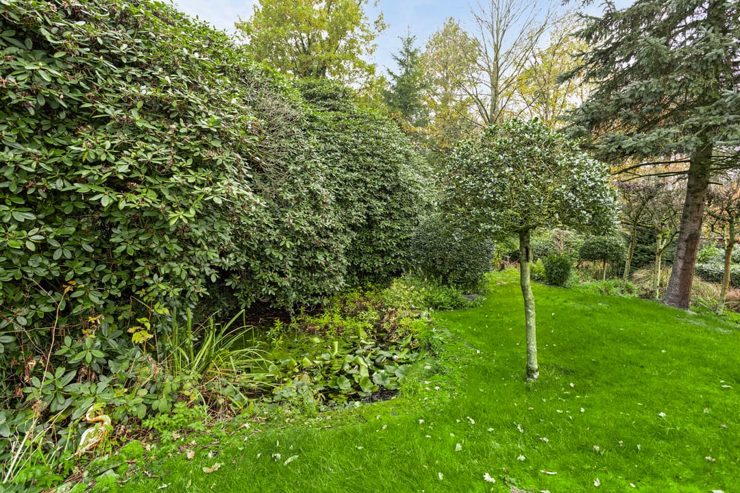 Foto 53 van Irenelaan 10