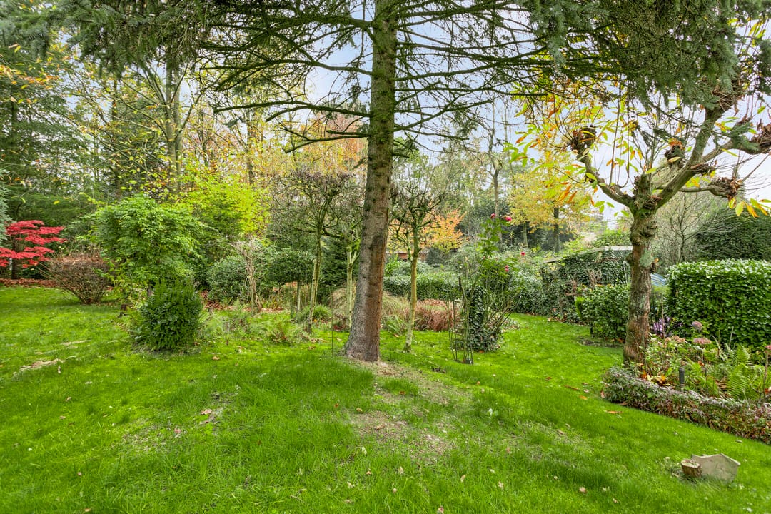 Foto 52 van Irenelaan 10