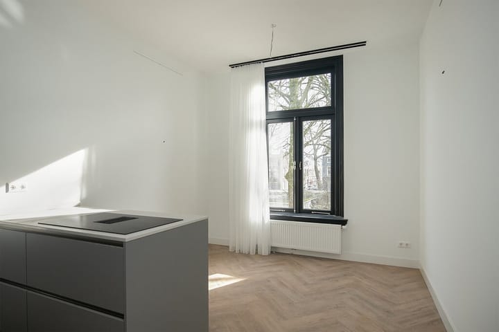 Foto 8 van Maliebaan 97-D