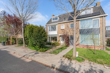 Theo Snoekstraat thumbnail