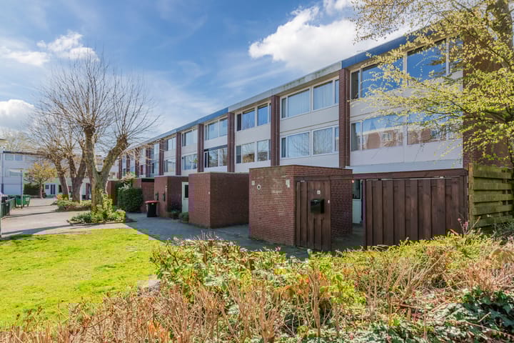 Breehorn 81 main image