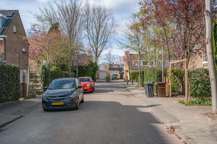 Foto 46 van Theo Snoekstraat 1