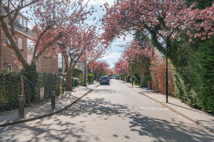 Foto 49 van Theo Snoekstraat 1