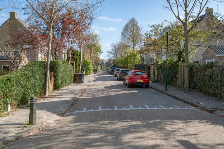 Foto 50 van Theo Snoekstraat 1