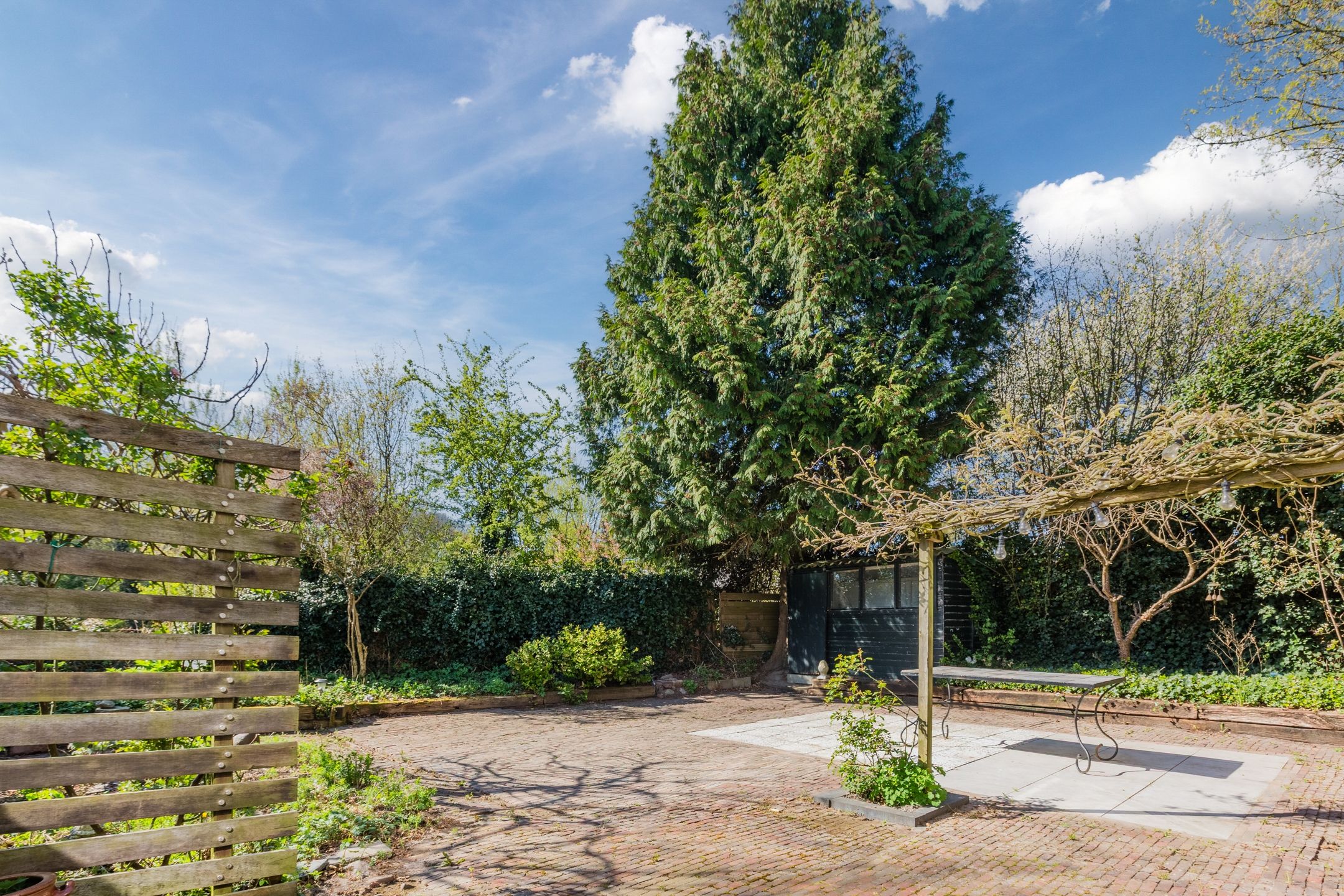 Foto 42 van Breehorn 81