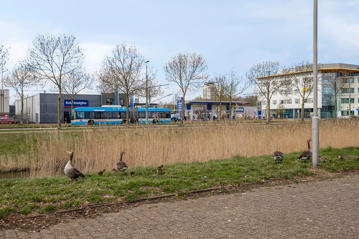 Foto 22 van Benny Goodmanstraat 14