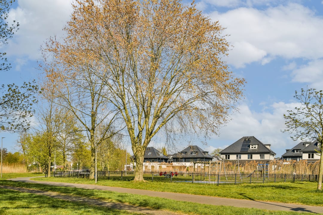 Foto 31 van Willem Hioolenstraat 20