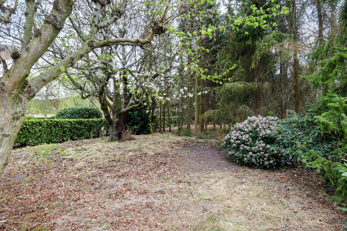 Foto 5 van Steenbergseweg 56-A