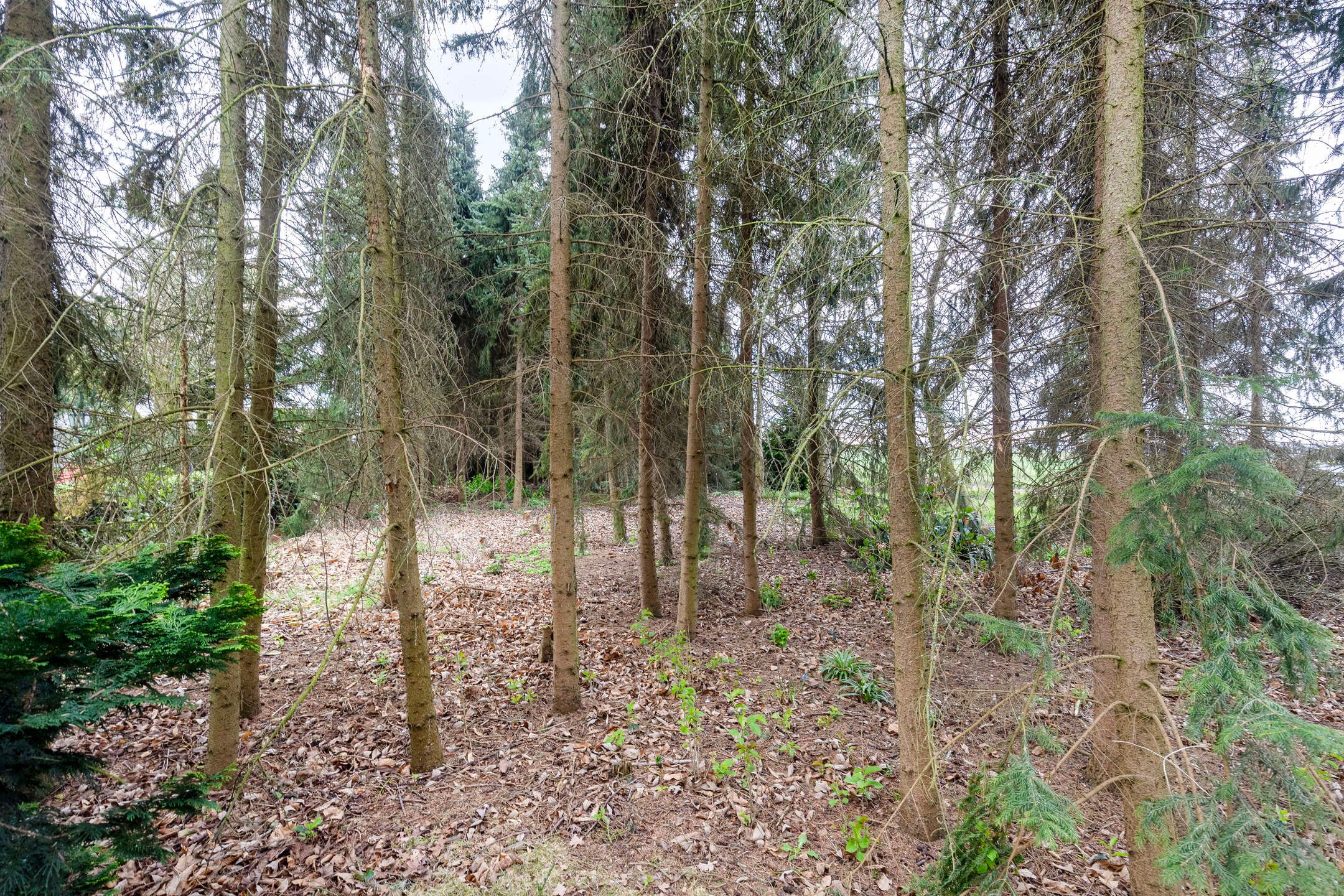 Foto 36 van Steenbergseweg 56-A