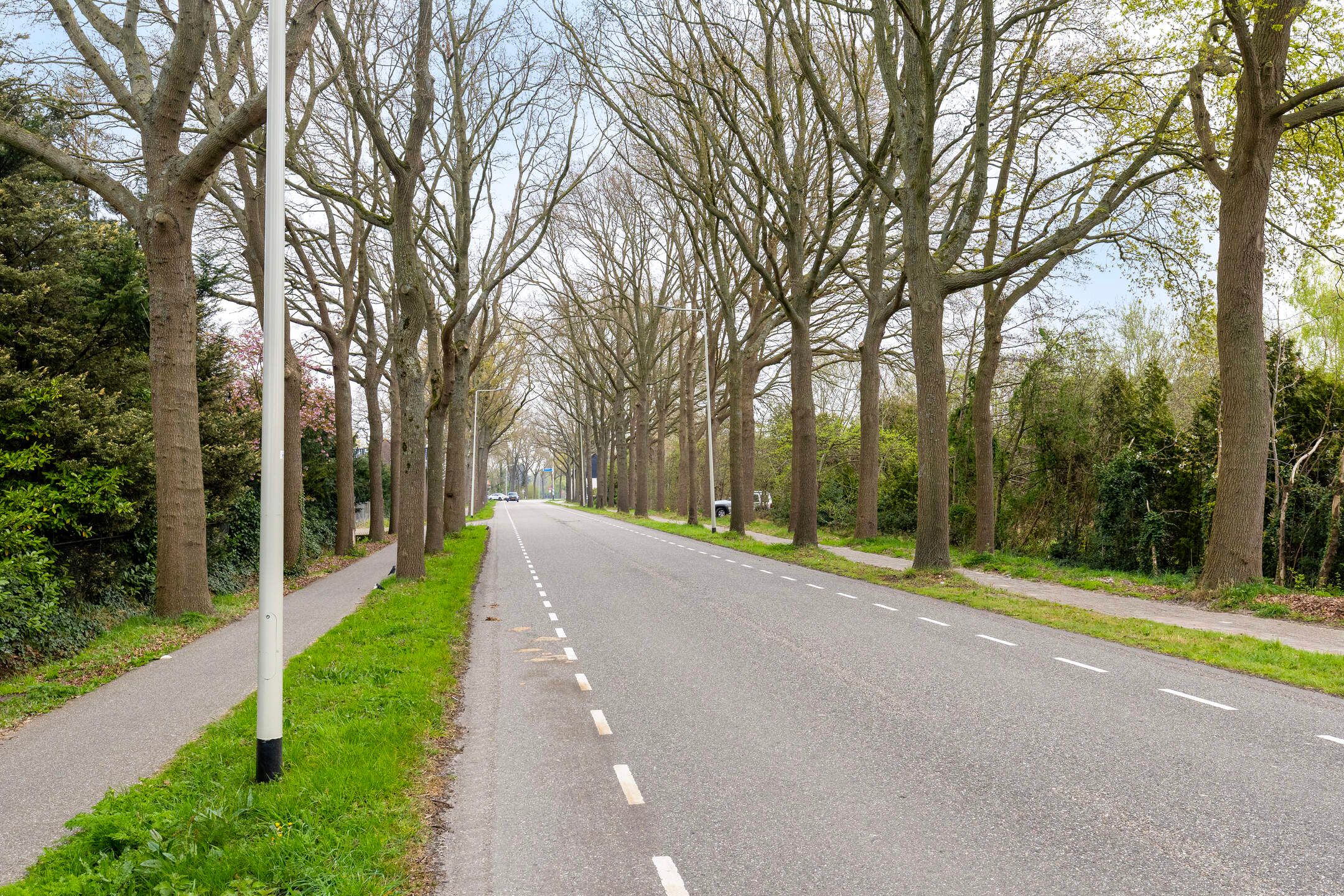 Foto 45 van Steenbergseweg 56-A