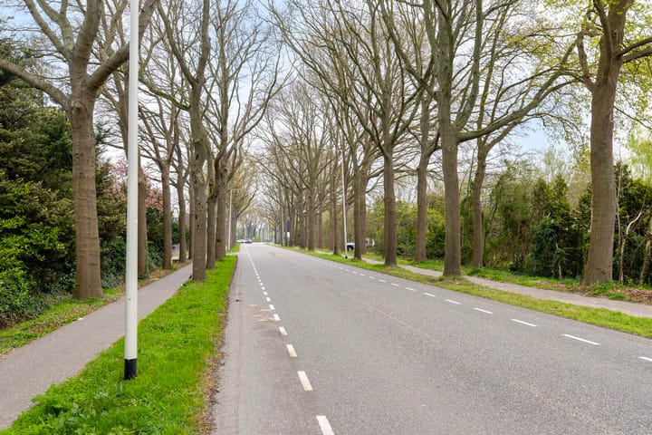 Foto 45 van Steenbergseweg 56-A