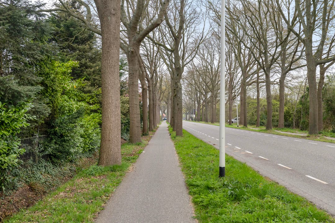 Foto 46 van Steenbergseweg 56-A