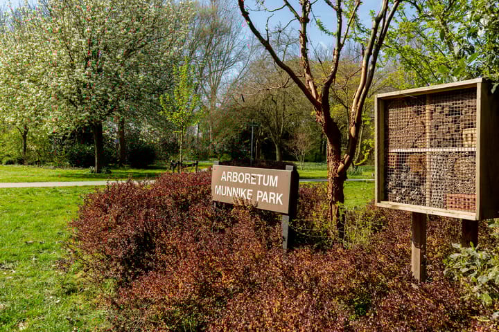 Foto 36 van Bolero 53