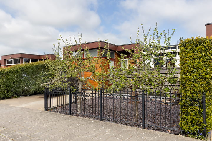 Foto 3 van Koolmees 24