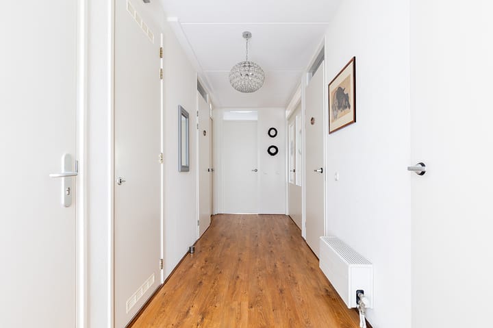 Foto 9 van Koolmees 24