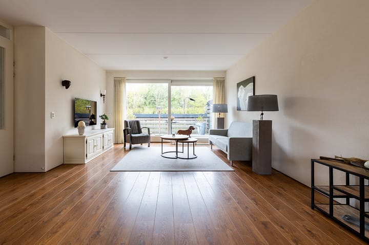 Foto 12 van Koolmees 24