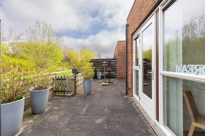 Foto 42 van Koolmees 24