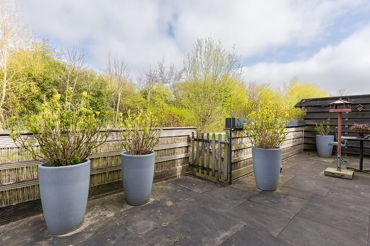 Foto 43 van Koolmees 24