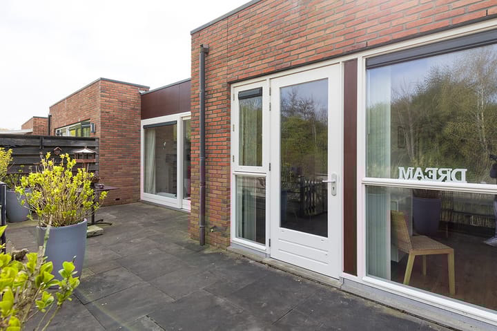 Foto 45 van Koolmees 24