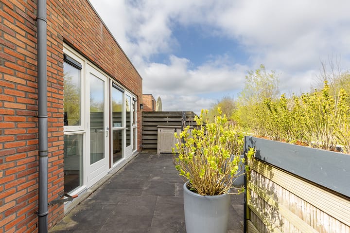 Foto 47 van Koolmees 24