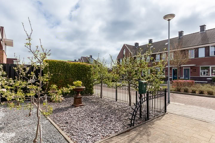 Foto 52 van Koolmees 24