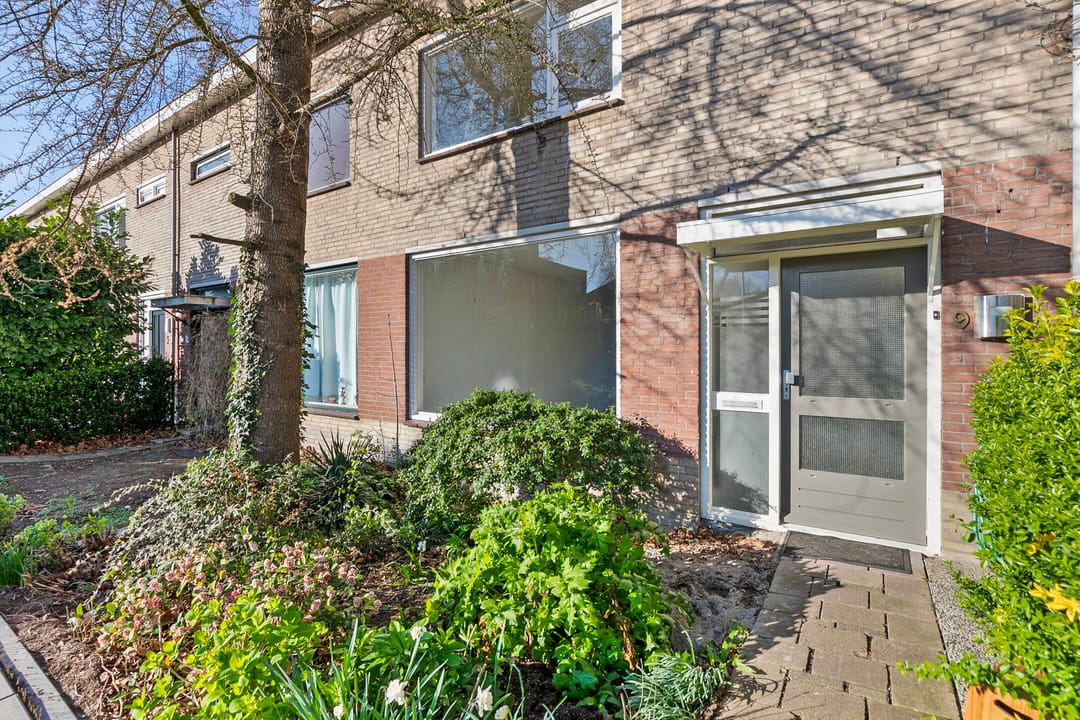 Photo 2 of Theeroos 9