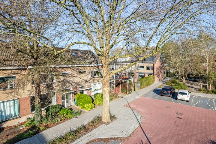 Foto 4 van Theeroos 9