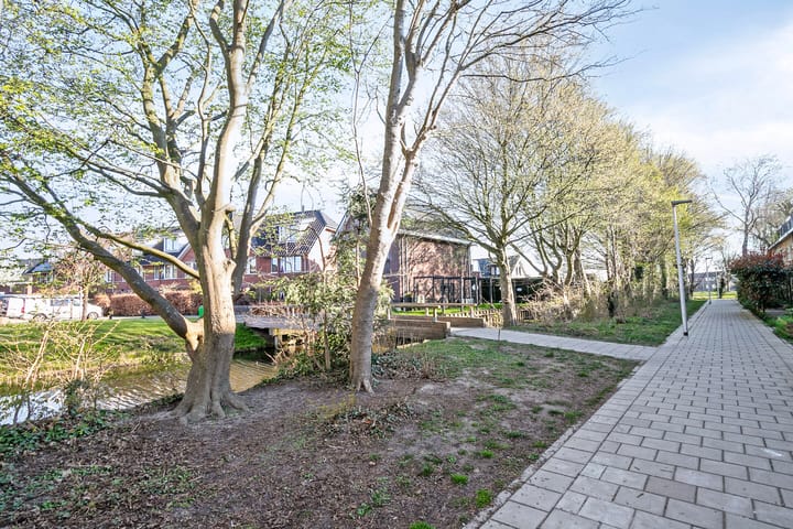 Foto 5 van Theeroos 9