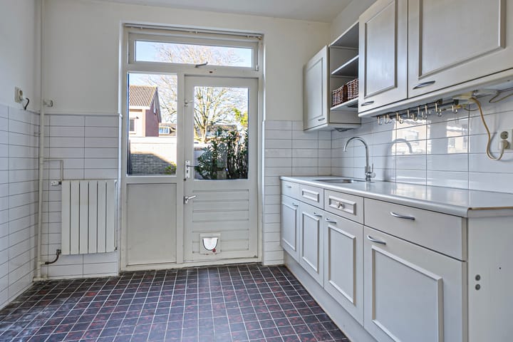 Foto 8 van Theeroos 9