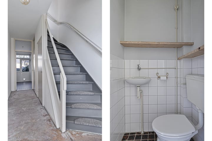 Foto 10 van Theeroos 9