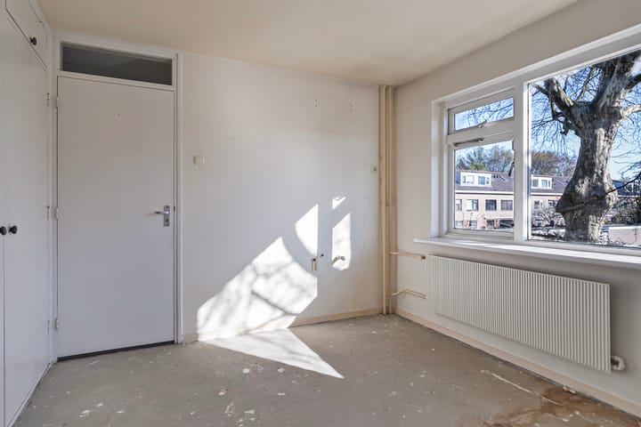 Foto 11 van Theeroos 9