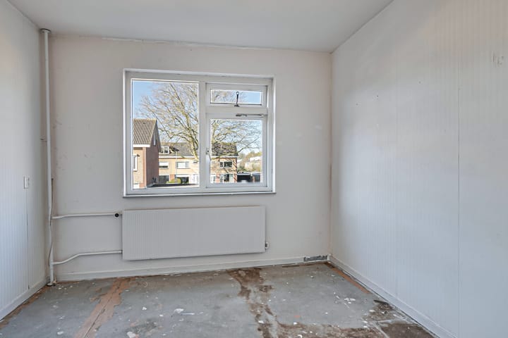 Foto 13 van Theeroos 9