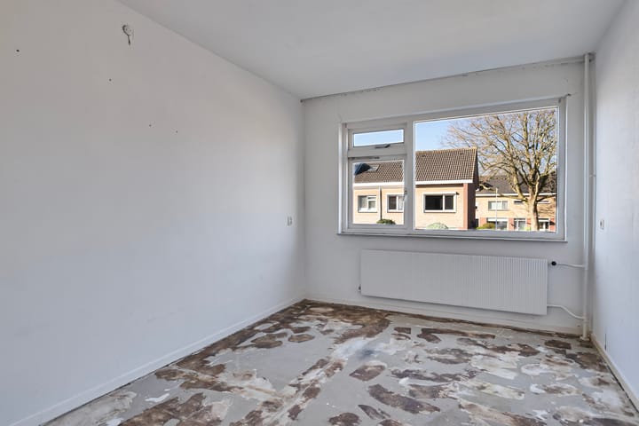 Foto 14 van Theeroos 9