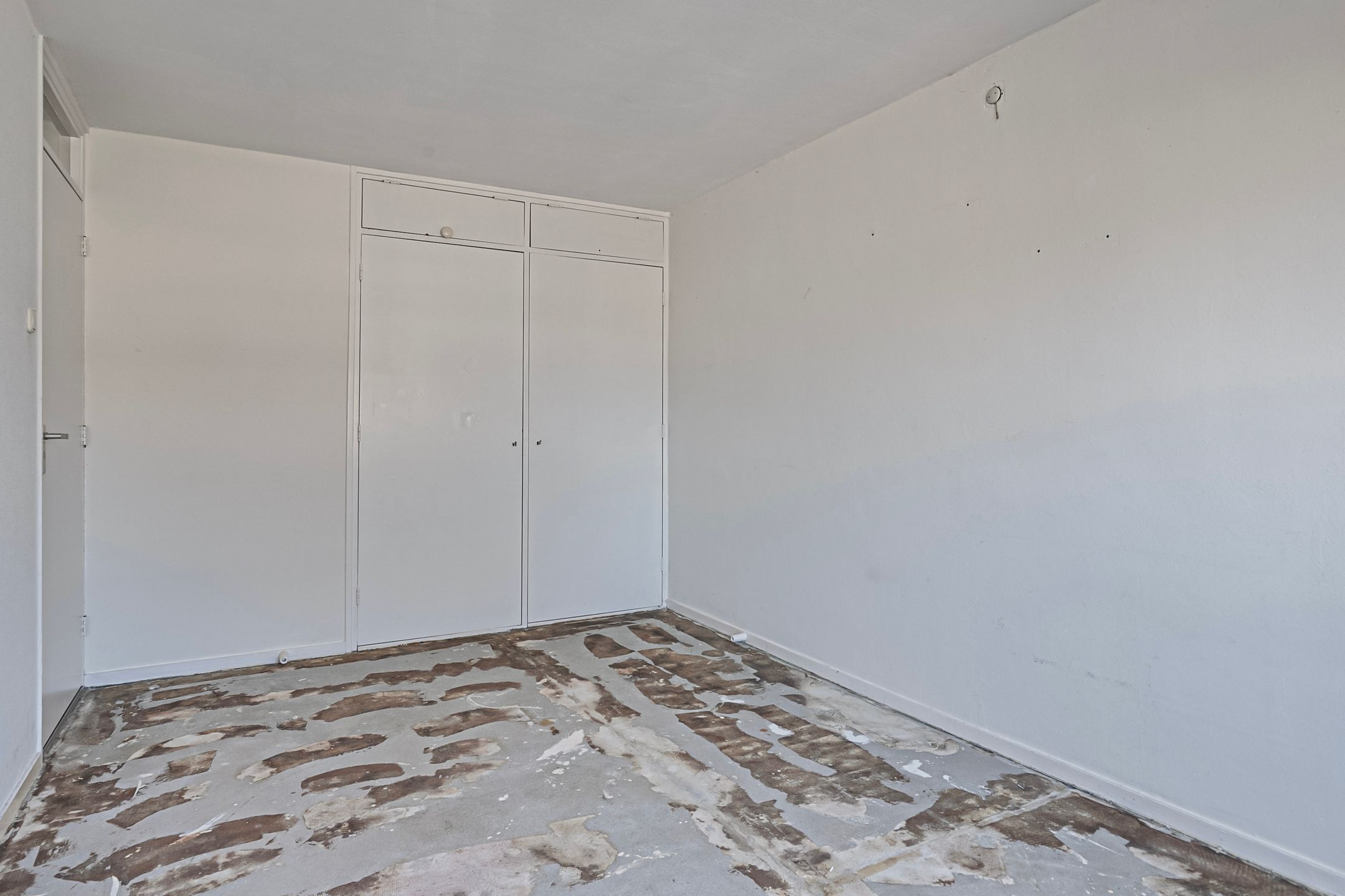 Photo 15 of Theeroos 9