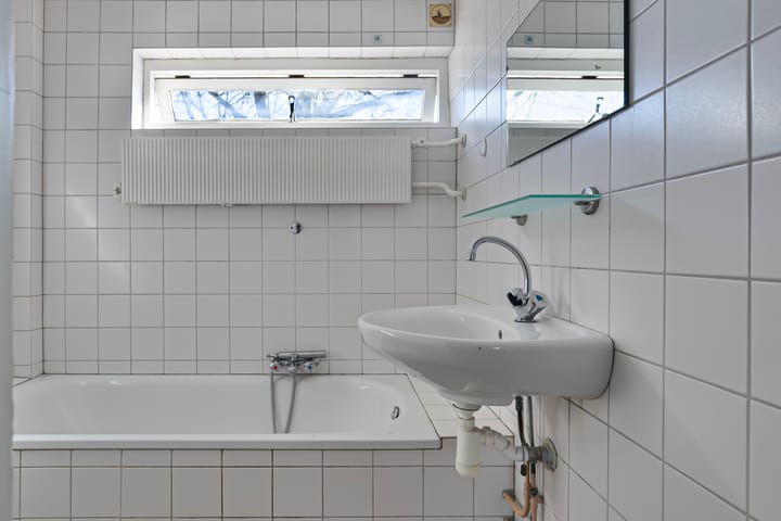 Foto 16 van Theeroos 9