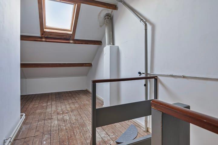 Foto 18 van Theeroos 9