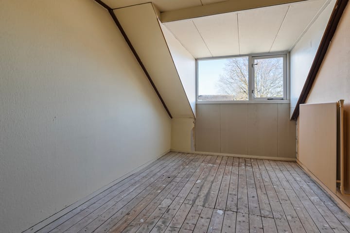 Foto 19 van Theeroos 9