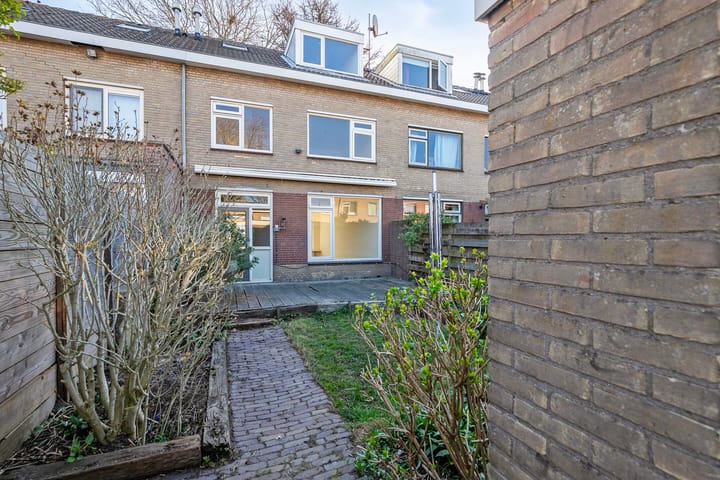 Foto 21 van Theeroos 9