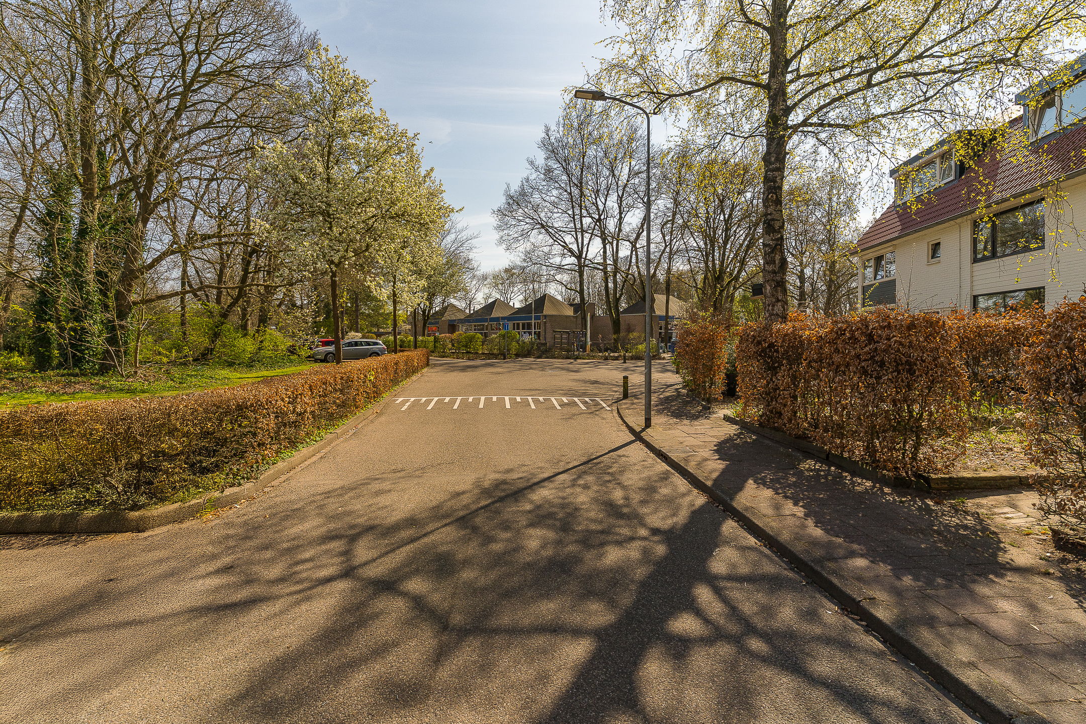 Foto 39 van Randweg 8