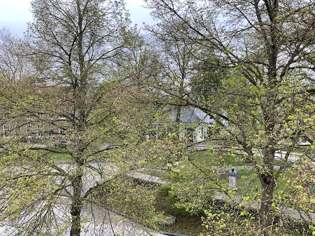 Foto 36 van Hoofdstraat 19