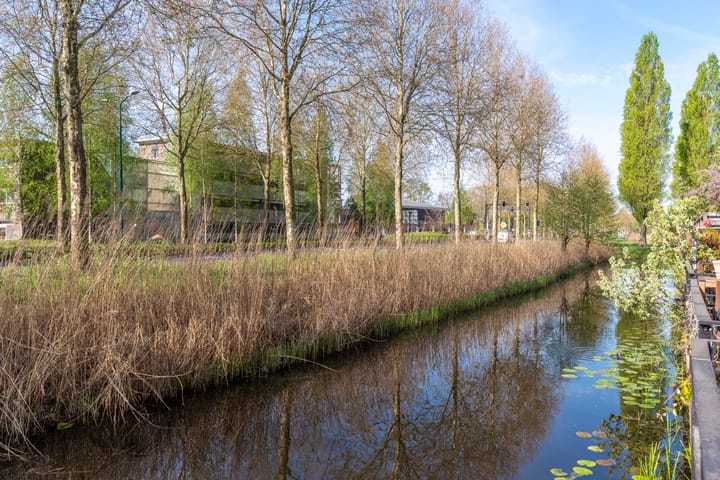 Foto 16 van MacBridestraat 20