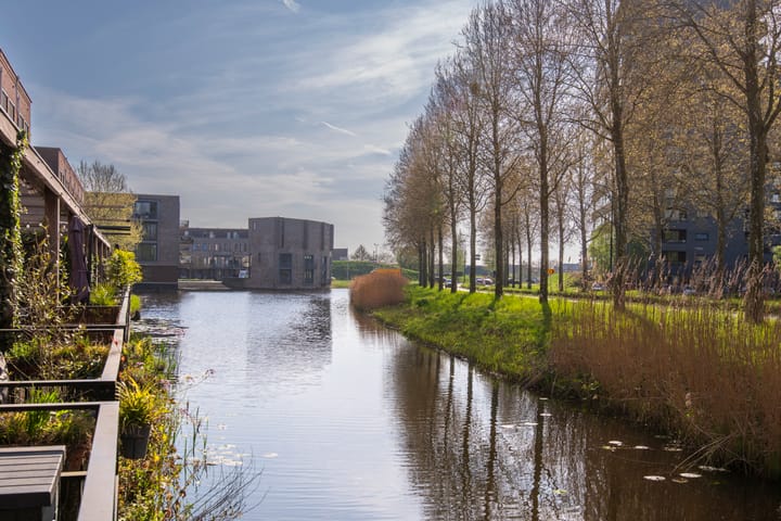 Photo 17 of MacBridestraat 20