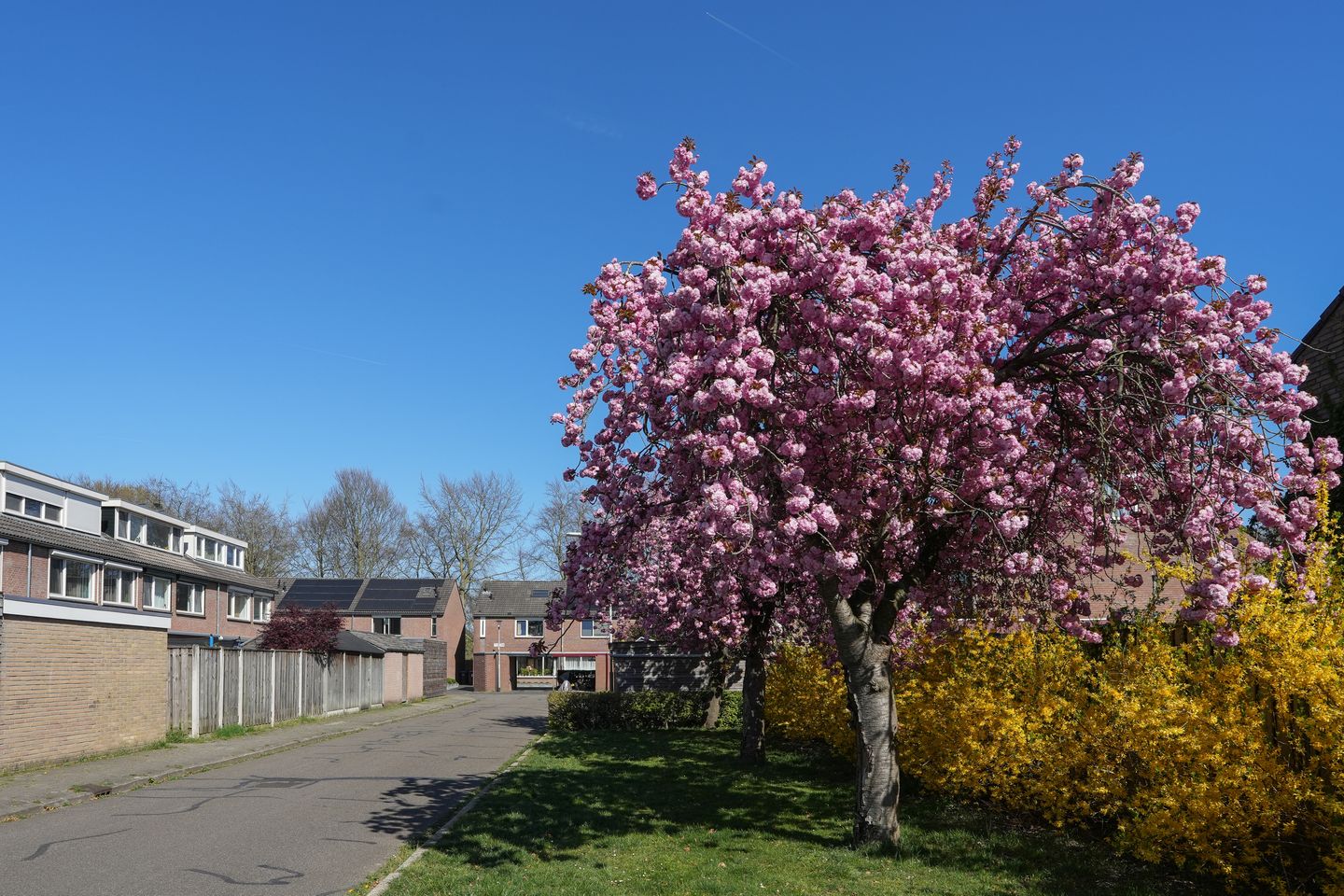 Foto 35 van Blauwe Hof 7308