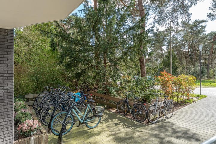 Foto 7 van Prinses Marijkelaan 21