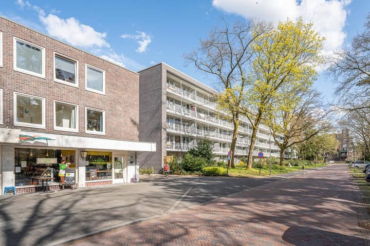 Foto 30 van Prinses Marijkelaan 21