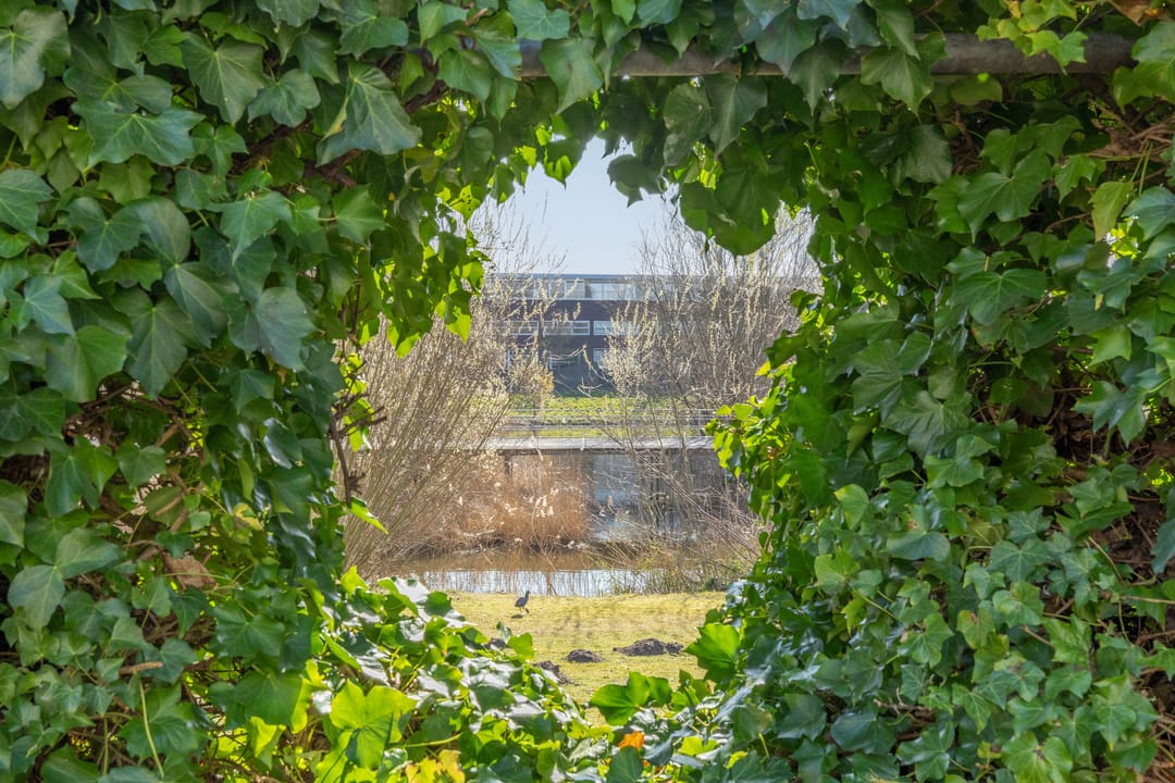 Foto 46 van Balatonmeerlaan 29