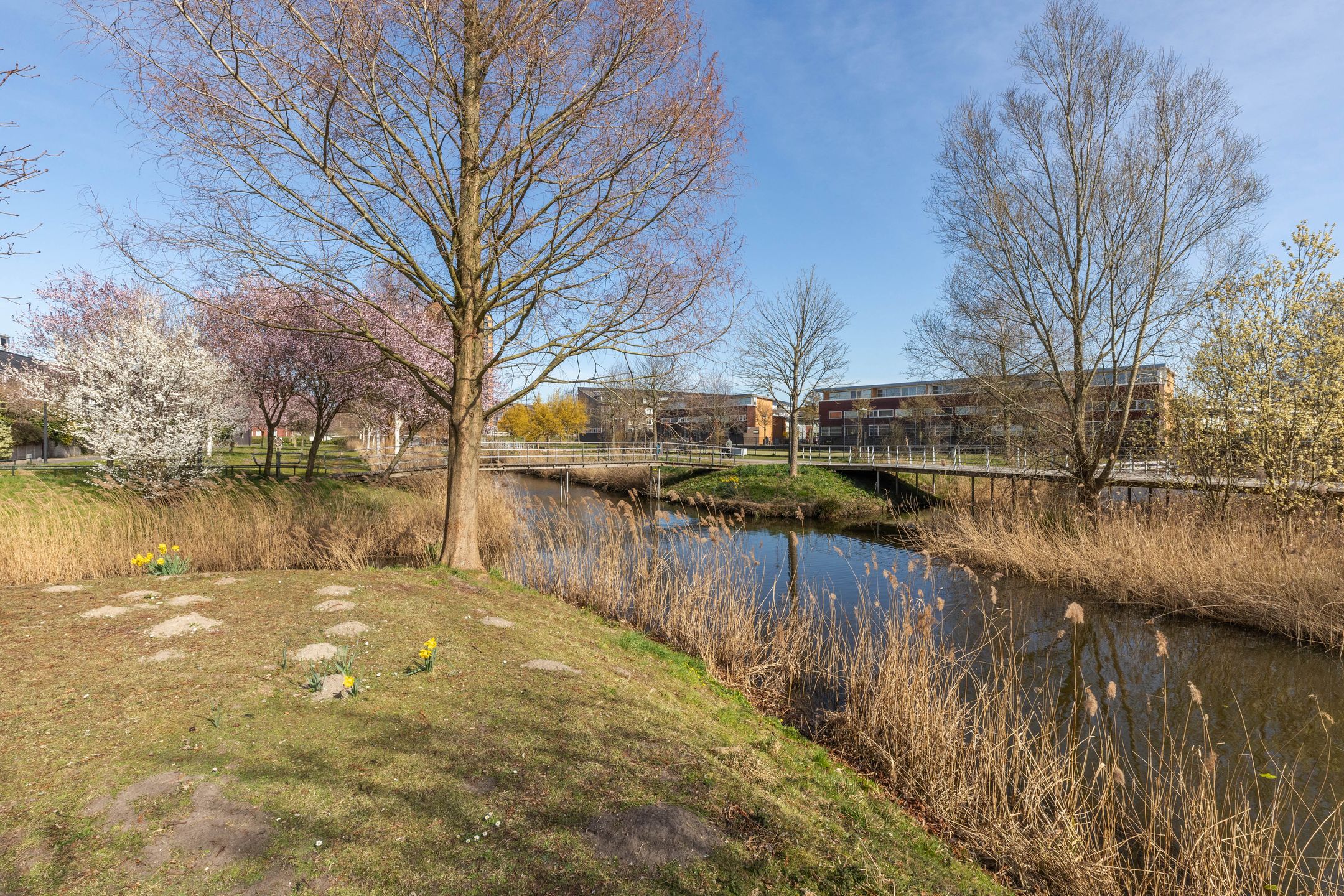 Foto 57 van Balatonmeerlaan 29