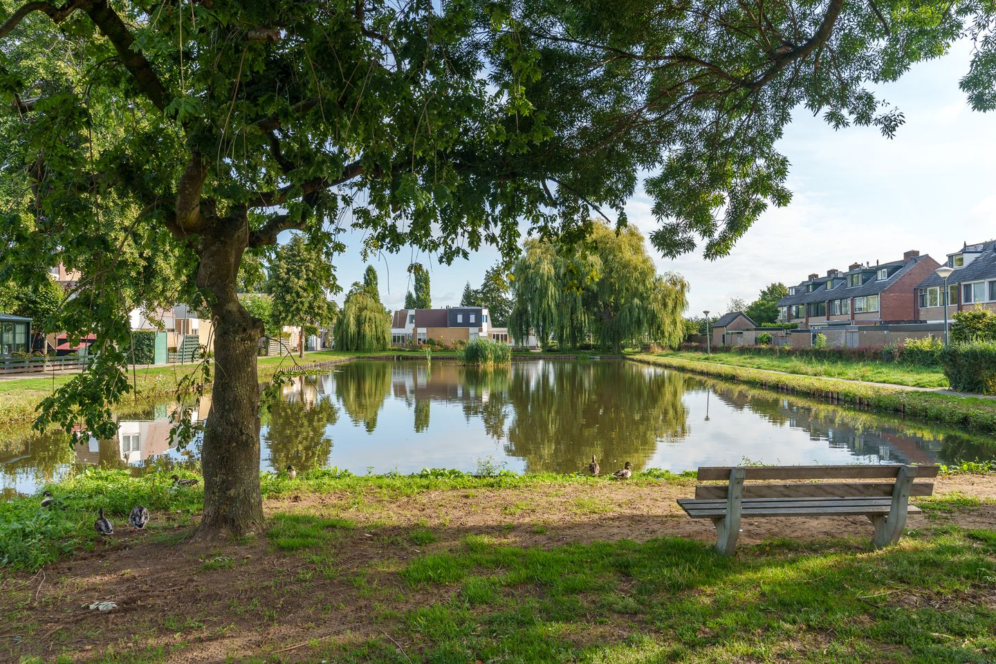 Foto 40 van Talmastraat 34