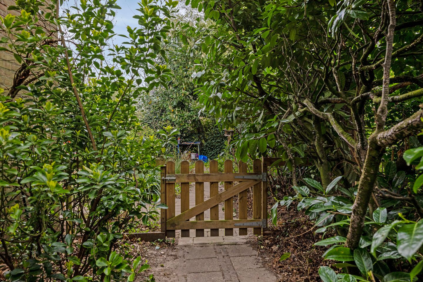 Foto 35 van Scheerdersdonk 212